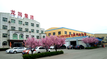 河北快猫视频网站